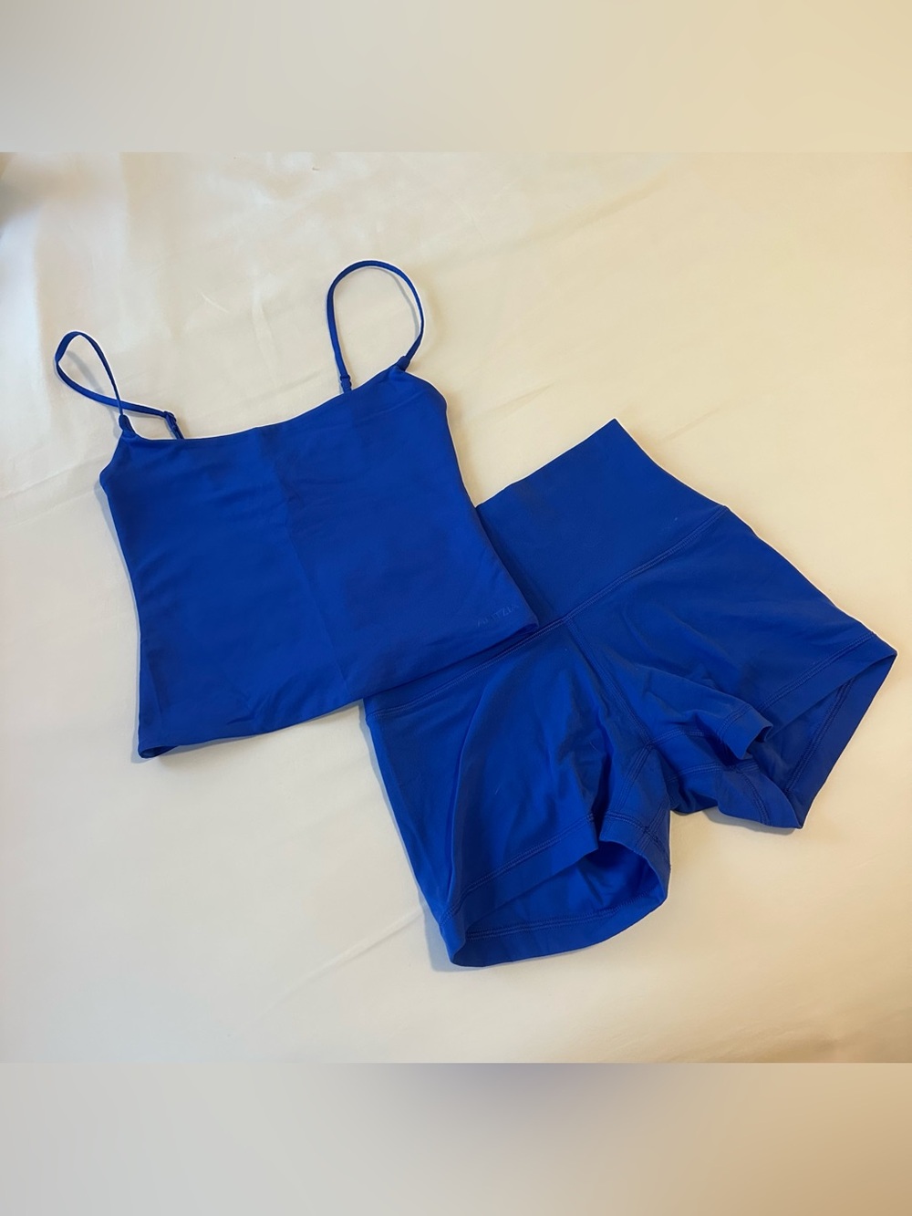 Aritzia Jazz Blue Tank and Shorts Set